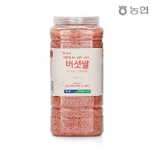 [농협] 본사정품 상황,영지,동충하초 버섯쌀 2.2kg